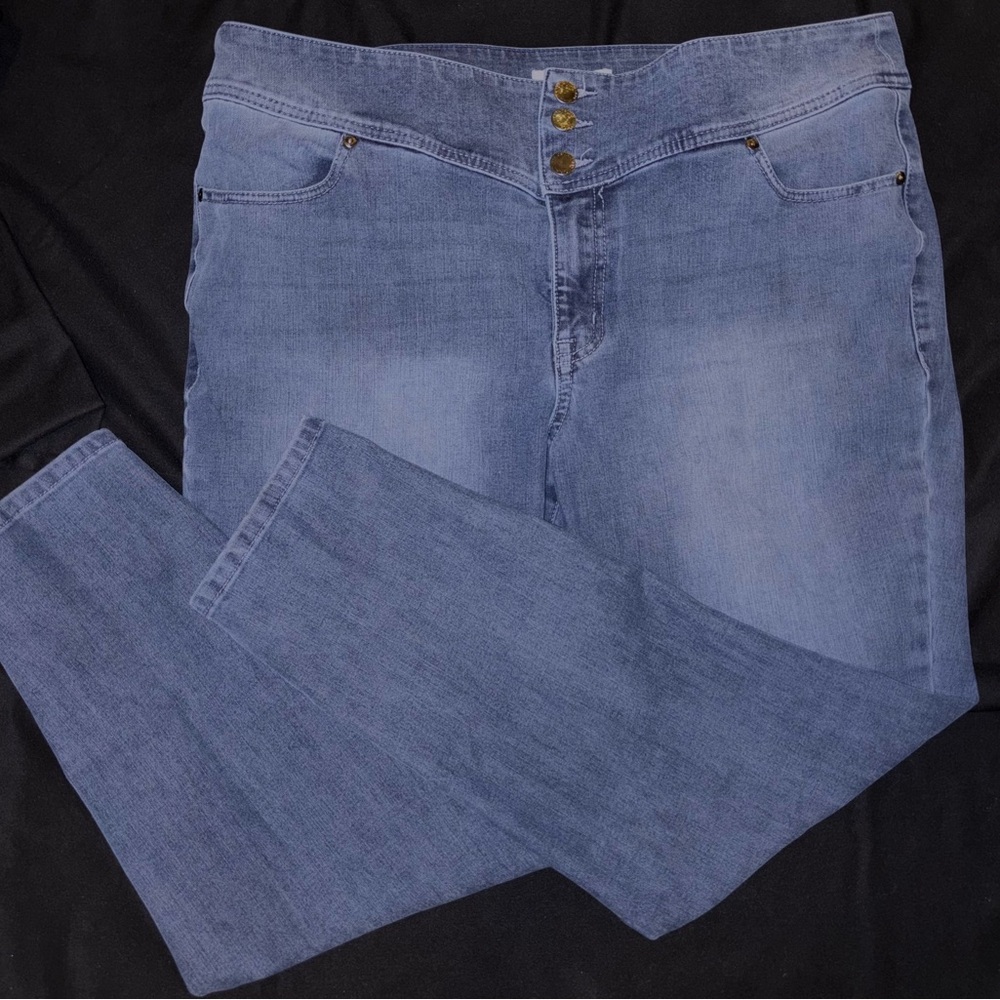 Lane Bryant High-Rise Jeggings